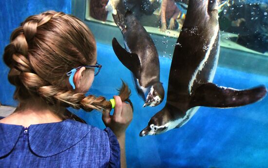 Russia Far East Aquarium