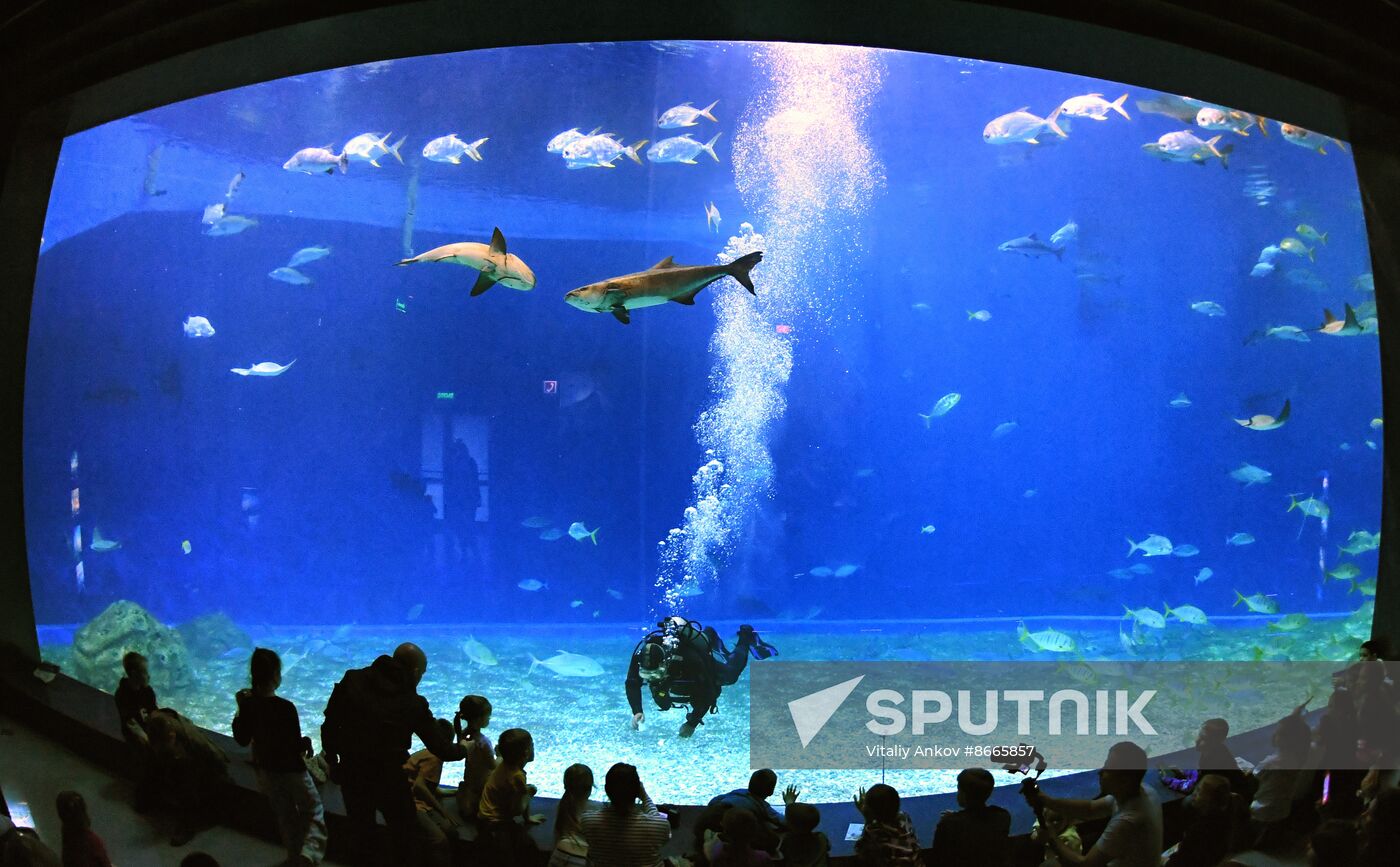 Russia Far East Aquarium