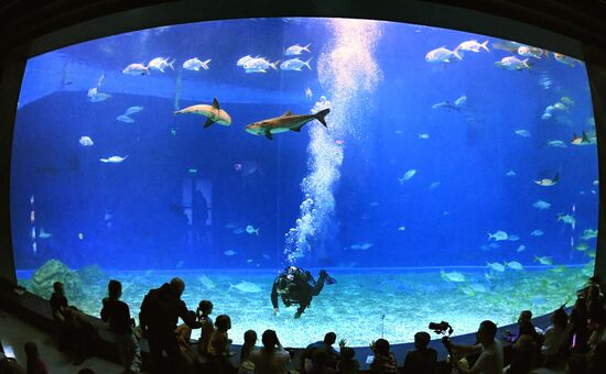 Russia Far East Aquarium