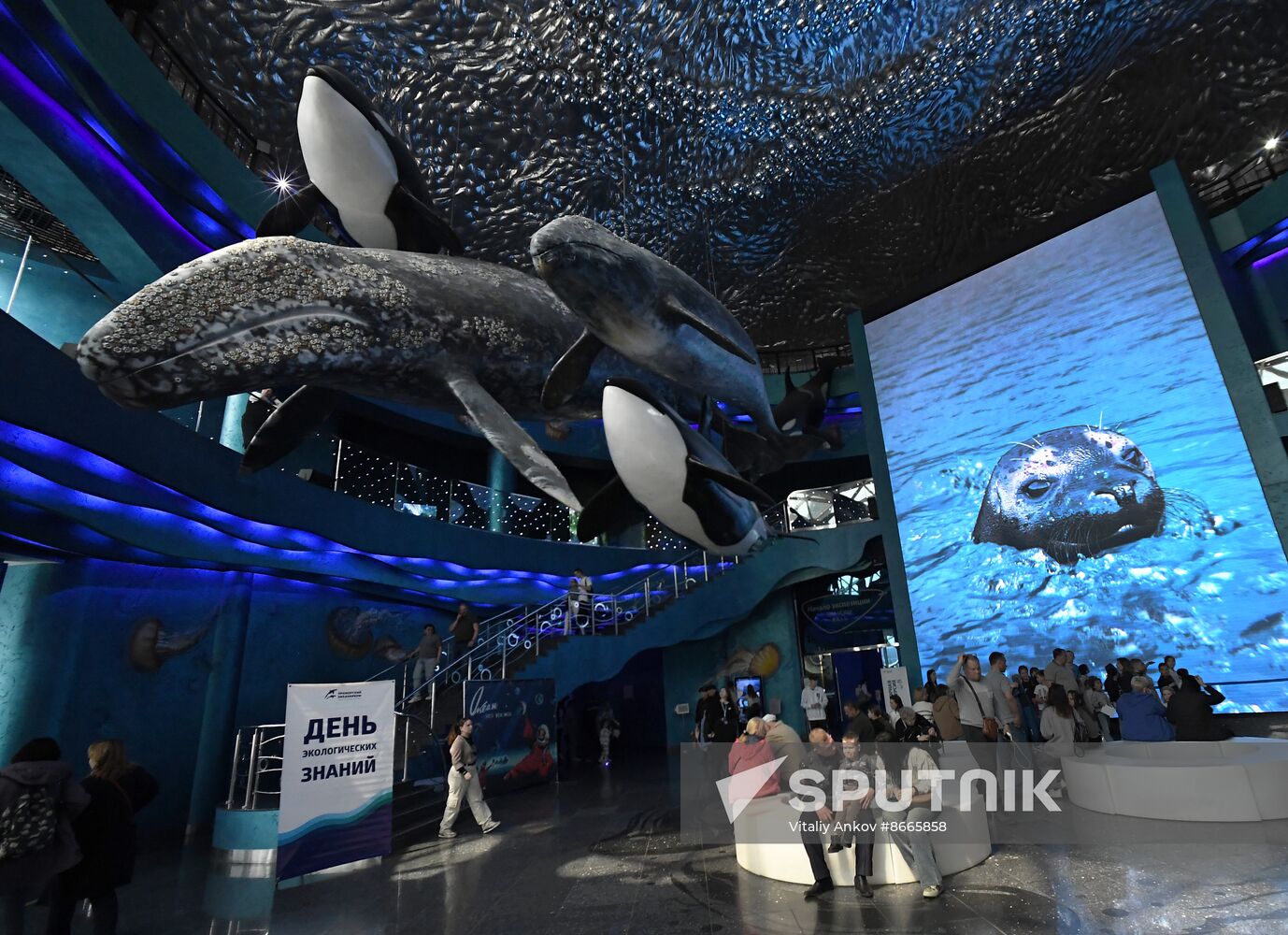 Russia Far East Aquarium