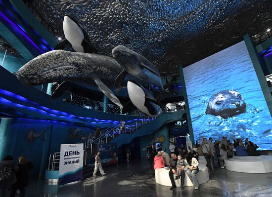 Russia Far East Aquarium