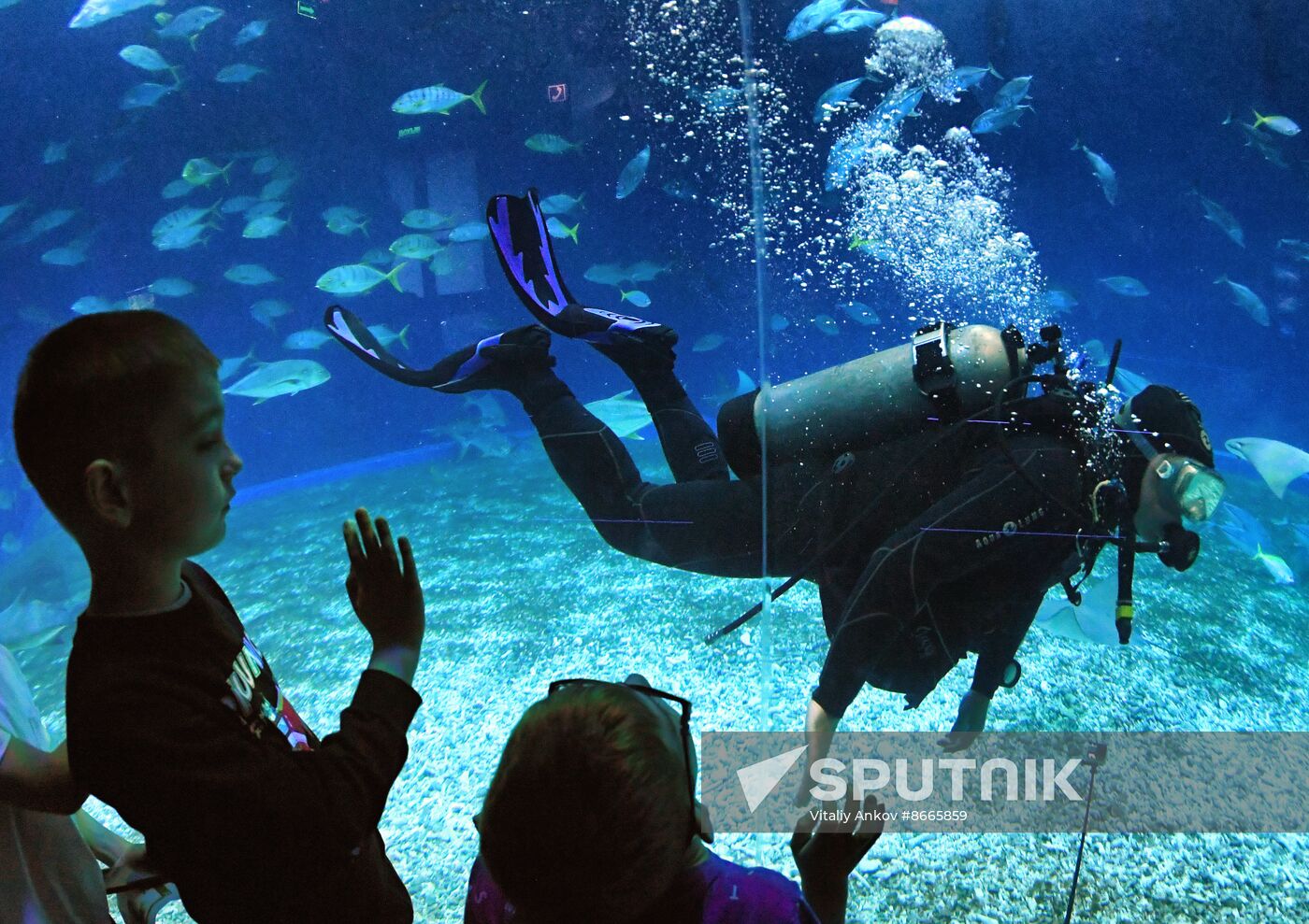 Russia Far East Aquarium