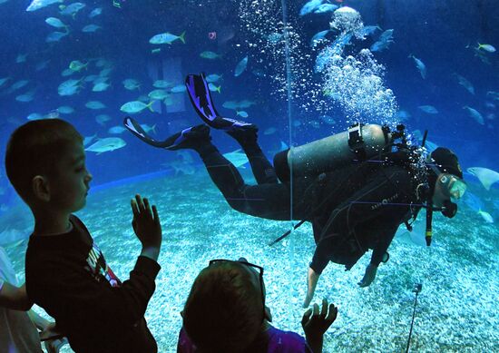 Russia Far East Aquarium