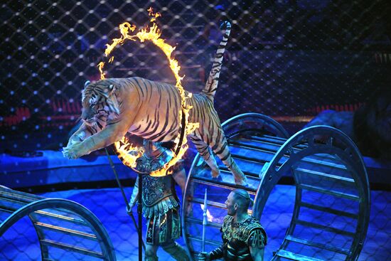 Russia World Circus Day