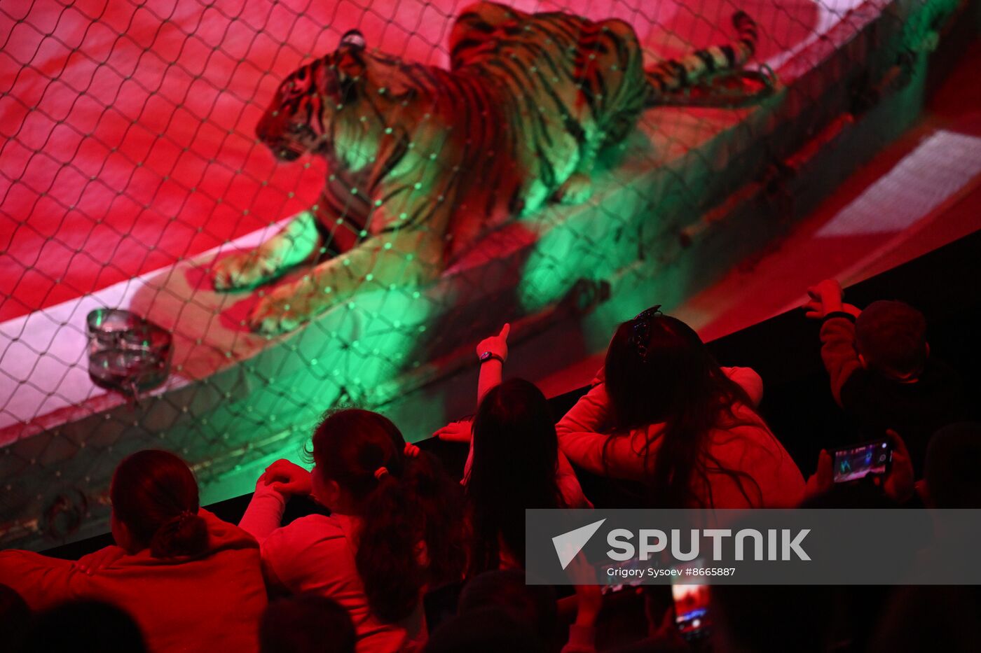 Russia World Circus Day