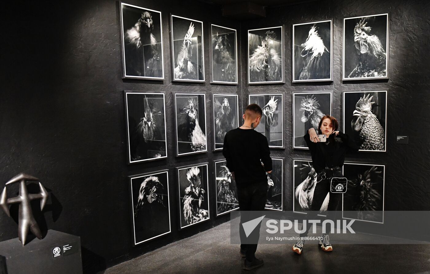 Russia Museum Night