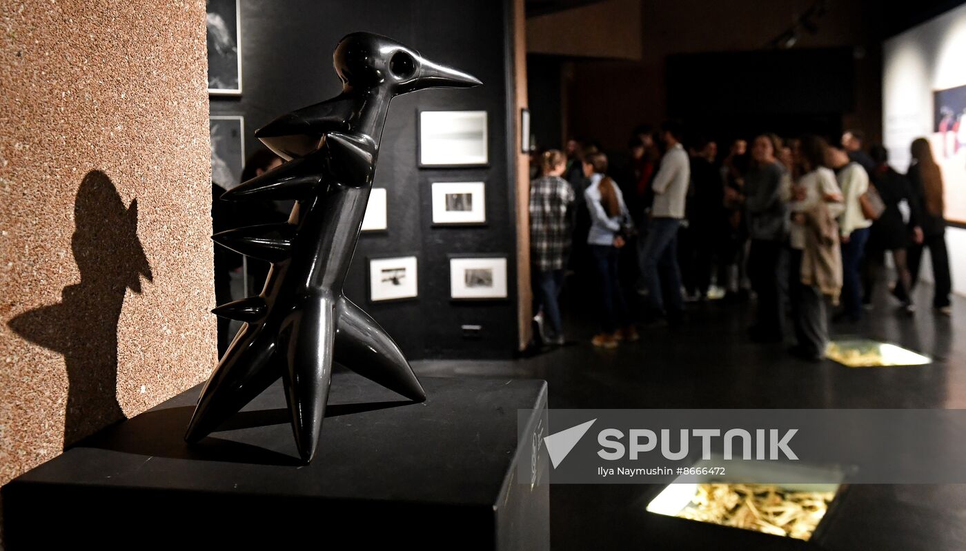 Russia Museum Night