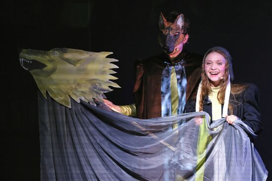 Russia EXPO. Performance for children Finist Bright Falcon