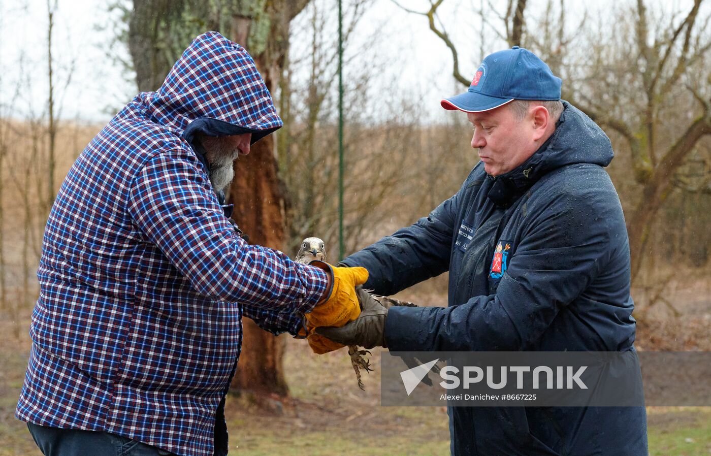 Russia Environment