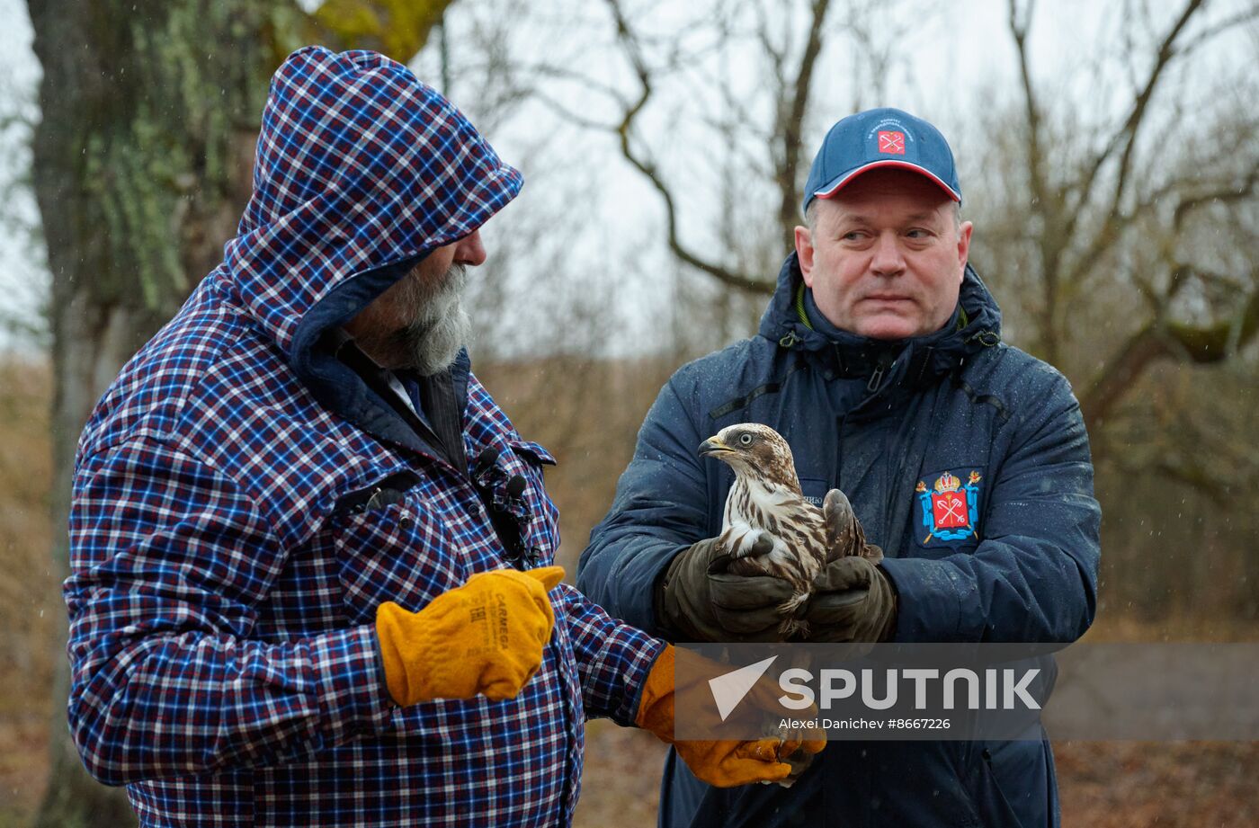 Russia Environment