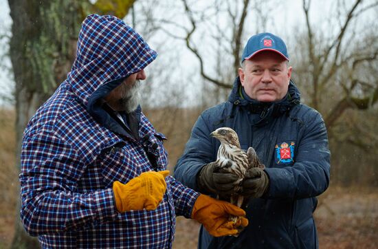 Russia Environment