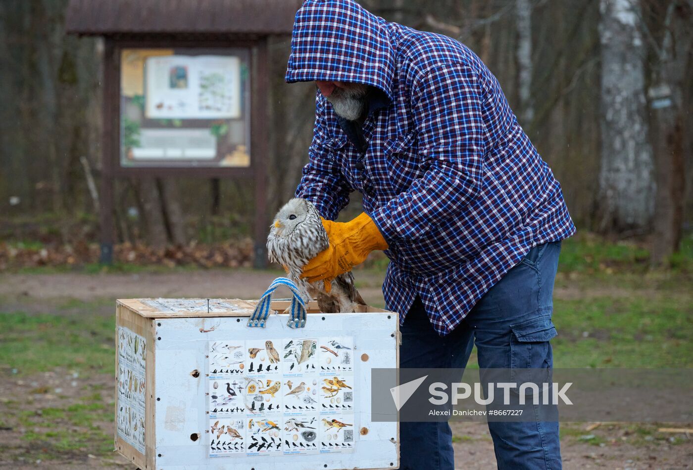 Russia Environment