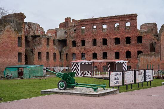 Russia Museums Tourist Season