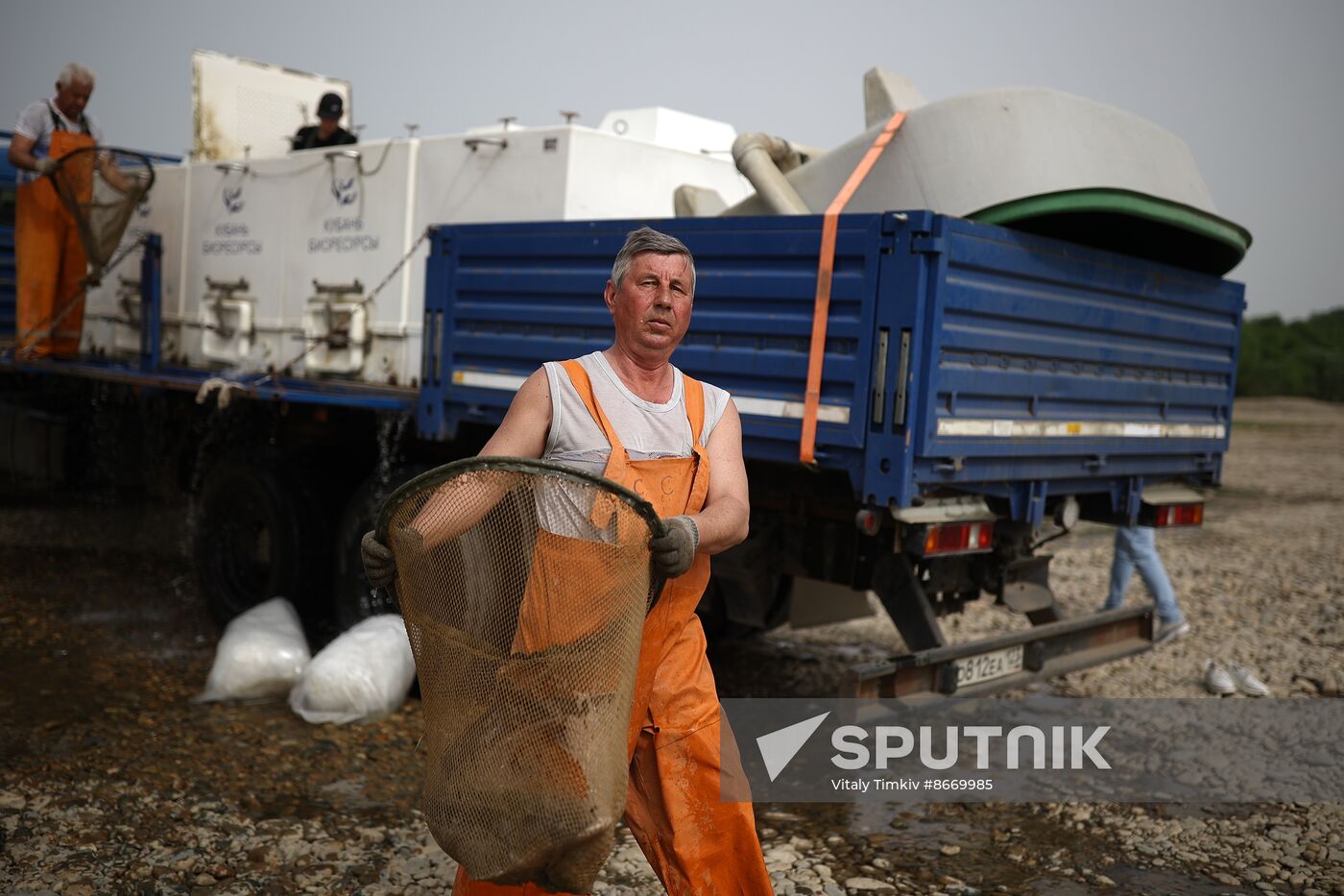Russia Environment Sturgeon Restocking