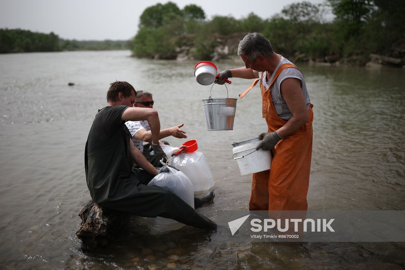 Russia Environment Sturgeon Restocking