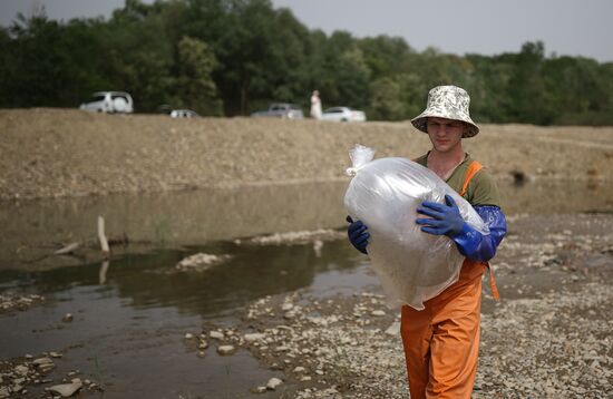 Russia Environment Sturgeon Restocking