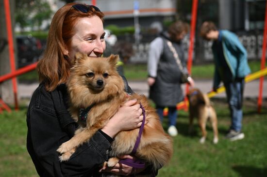 Russia Religion Palm Sunday Festival