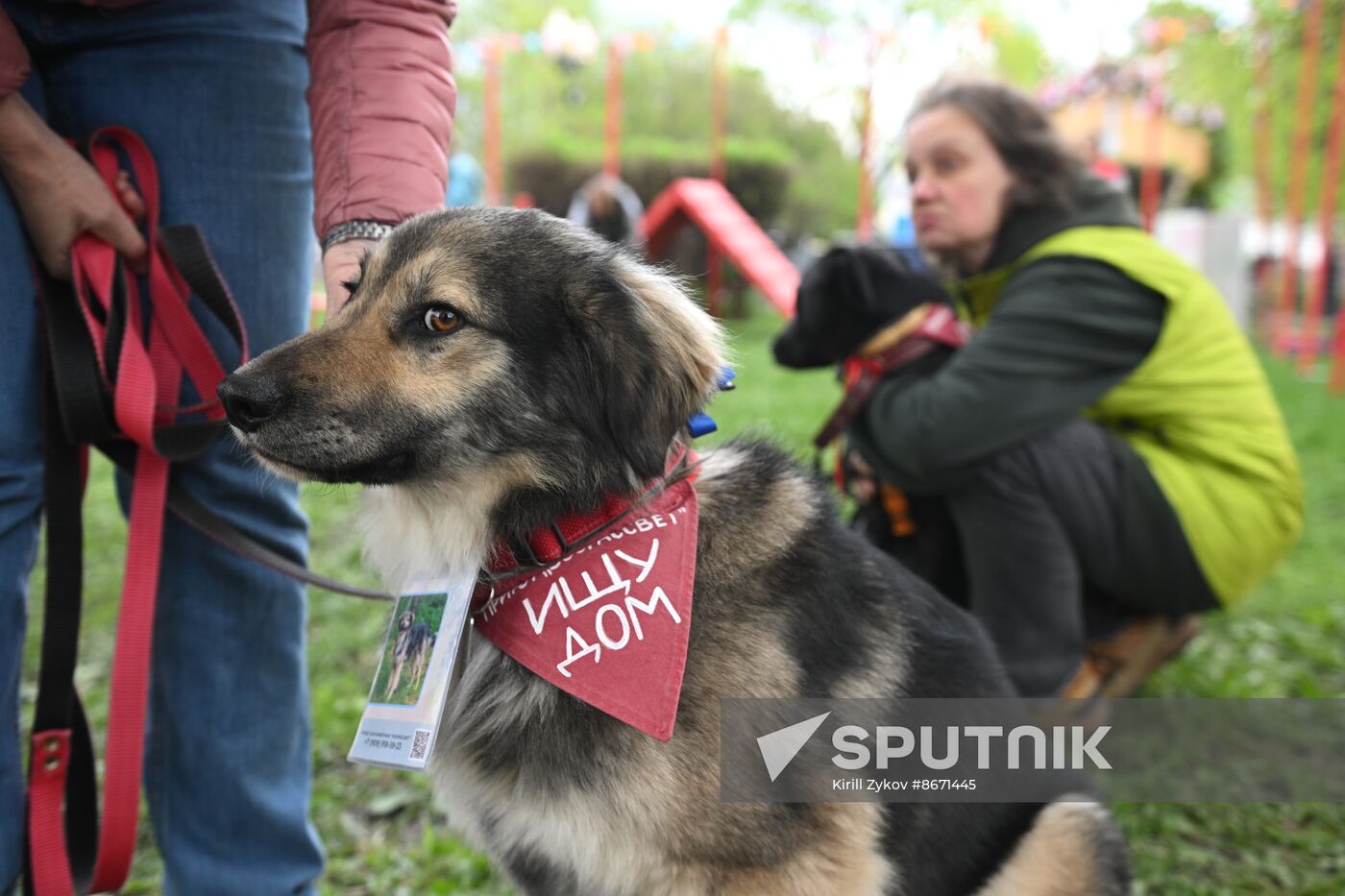 Russia Religion Palm Sunday Festival