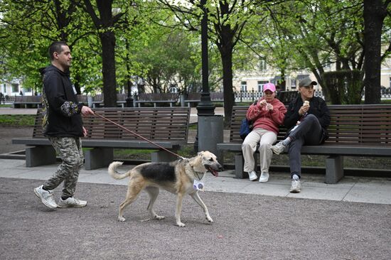 Russia Religion Palm Sunday Festival