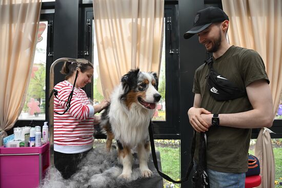 Russia Religion Palm Sunday Festival