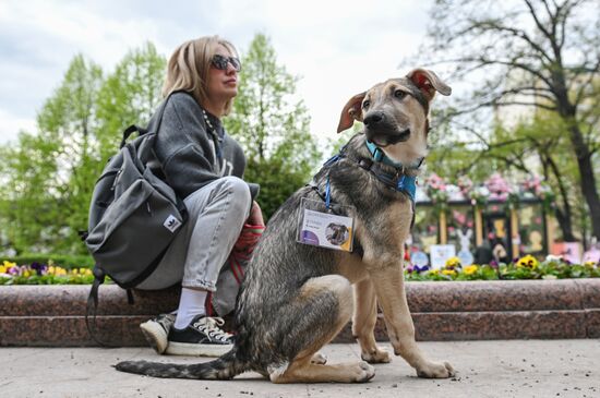 Russia Religion Palm Sunday Festival