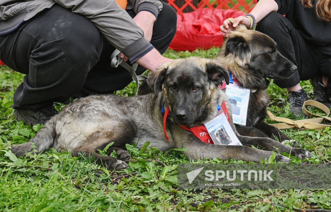 Russia Religion Palm Sunday Festival