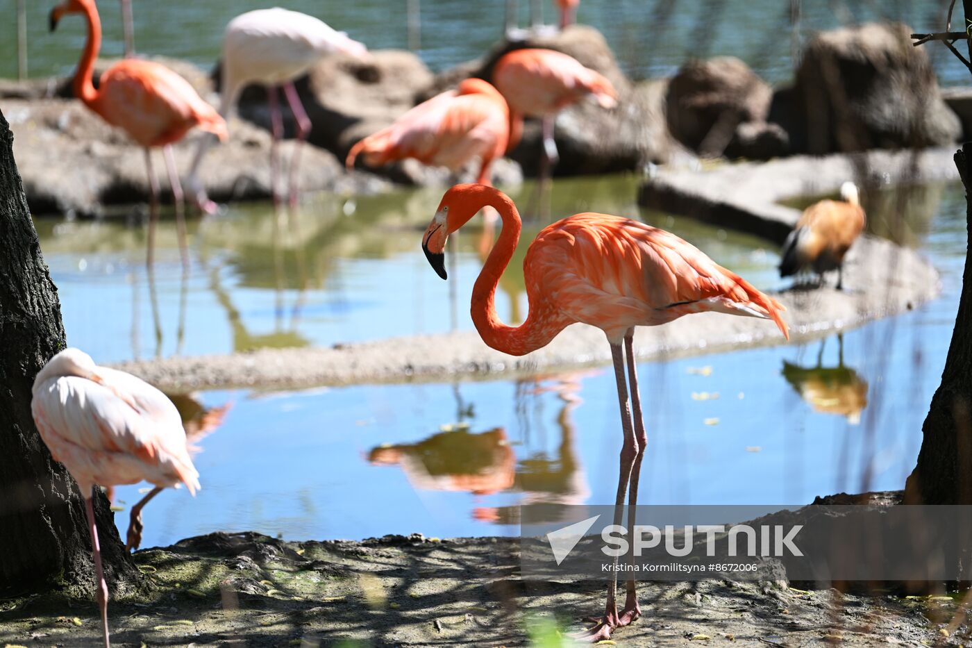 Russia Moscow Zoo