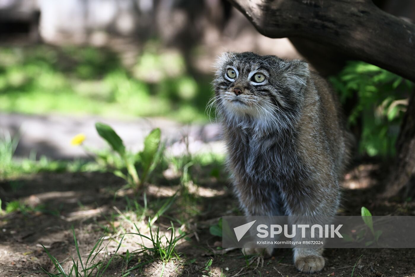 Russia Moscow Zoo