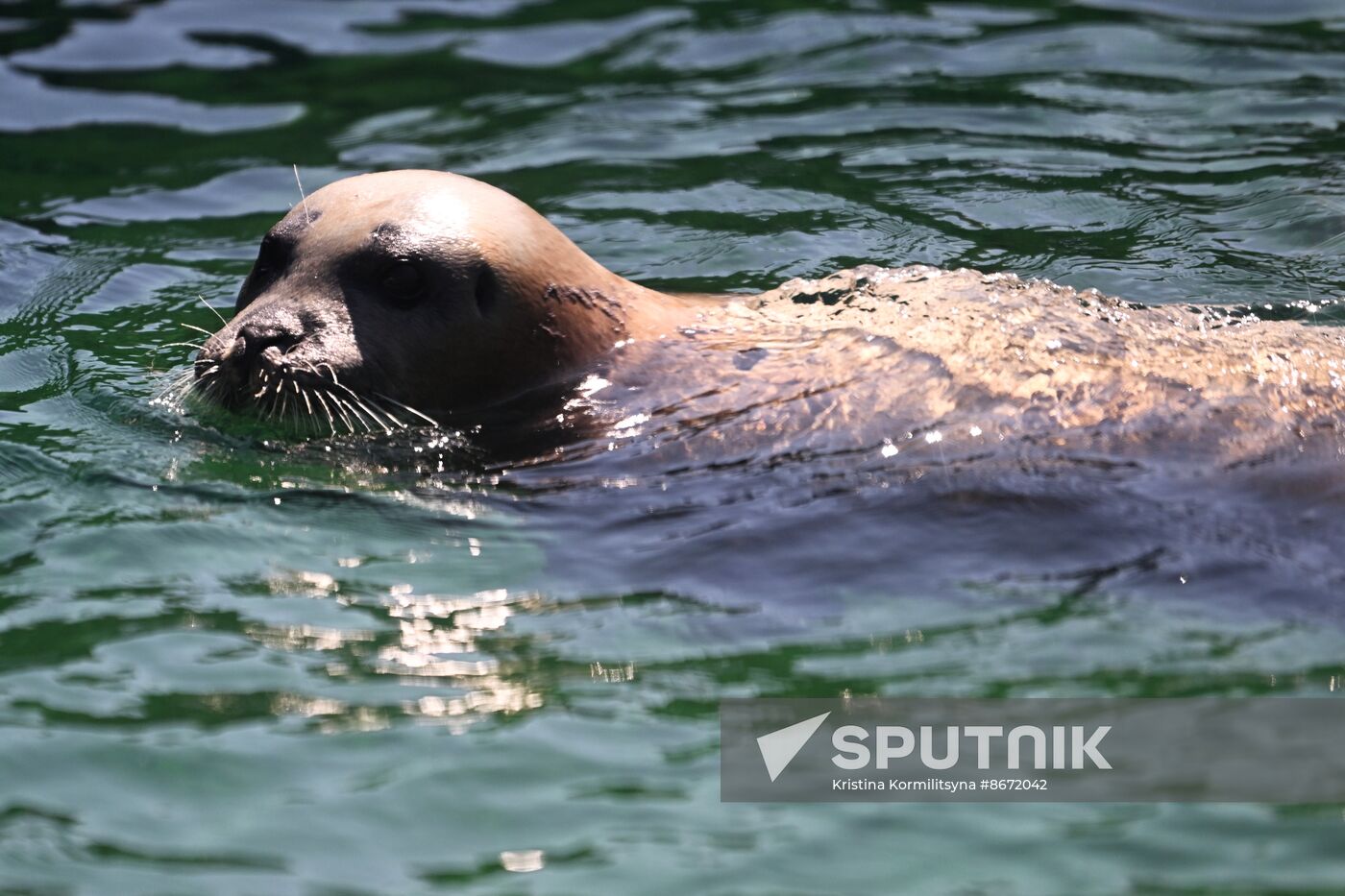 Russia Moscow Zoo