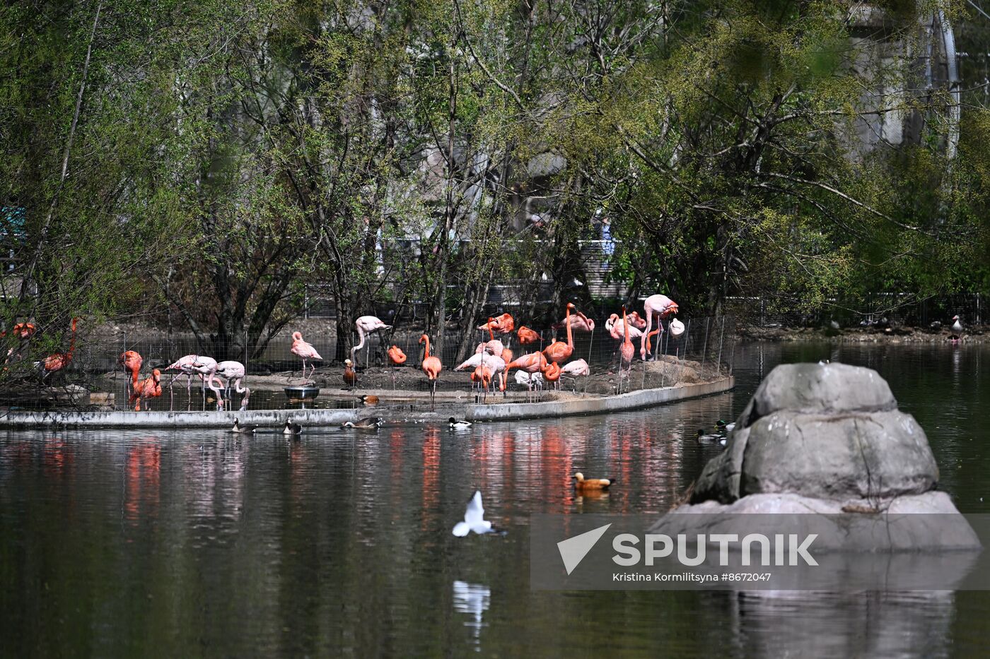 Russia Moscow Zoo