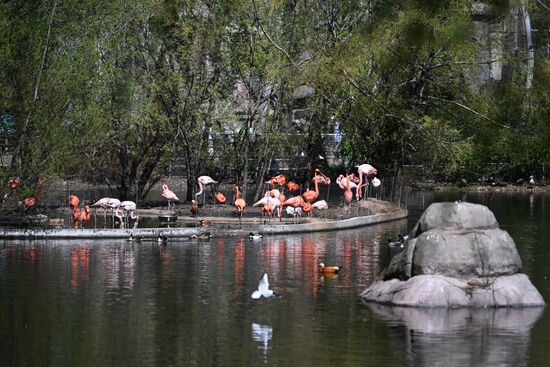 Russia Moscow Zoo