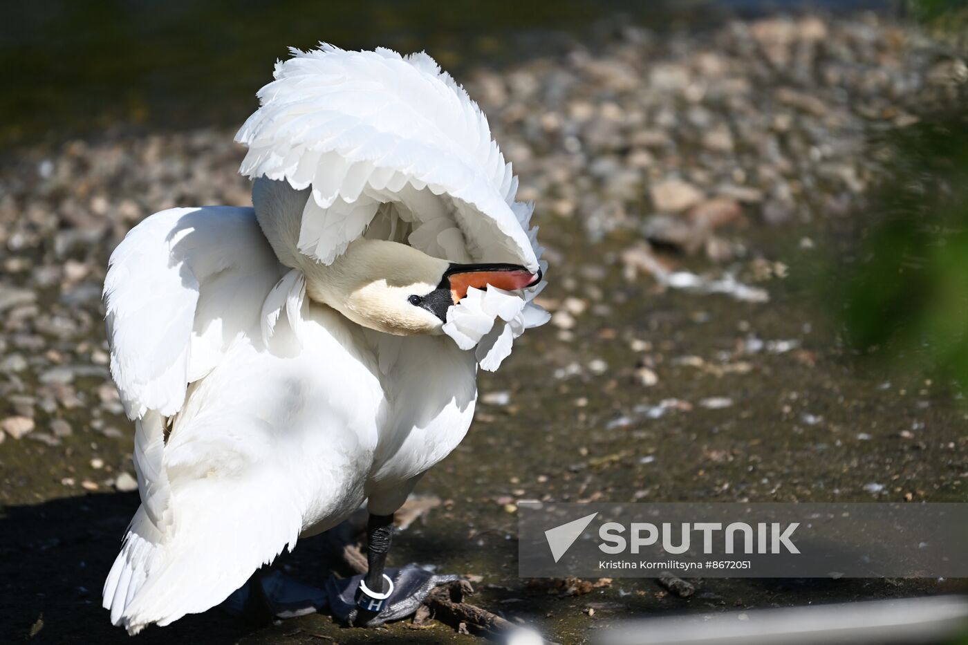 Russia Moscow Zoo