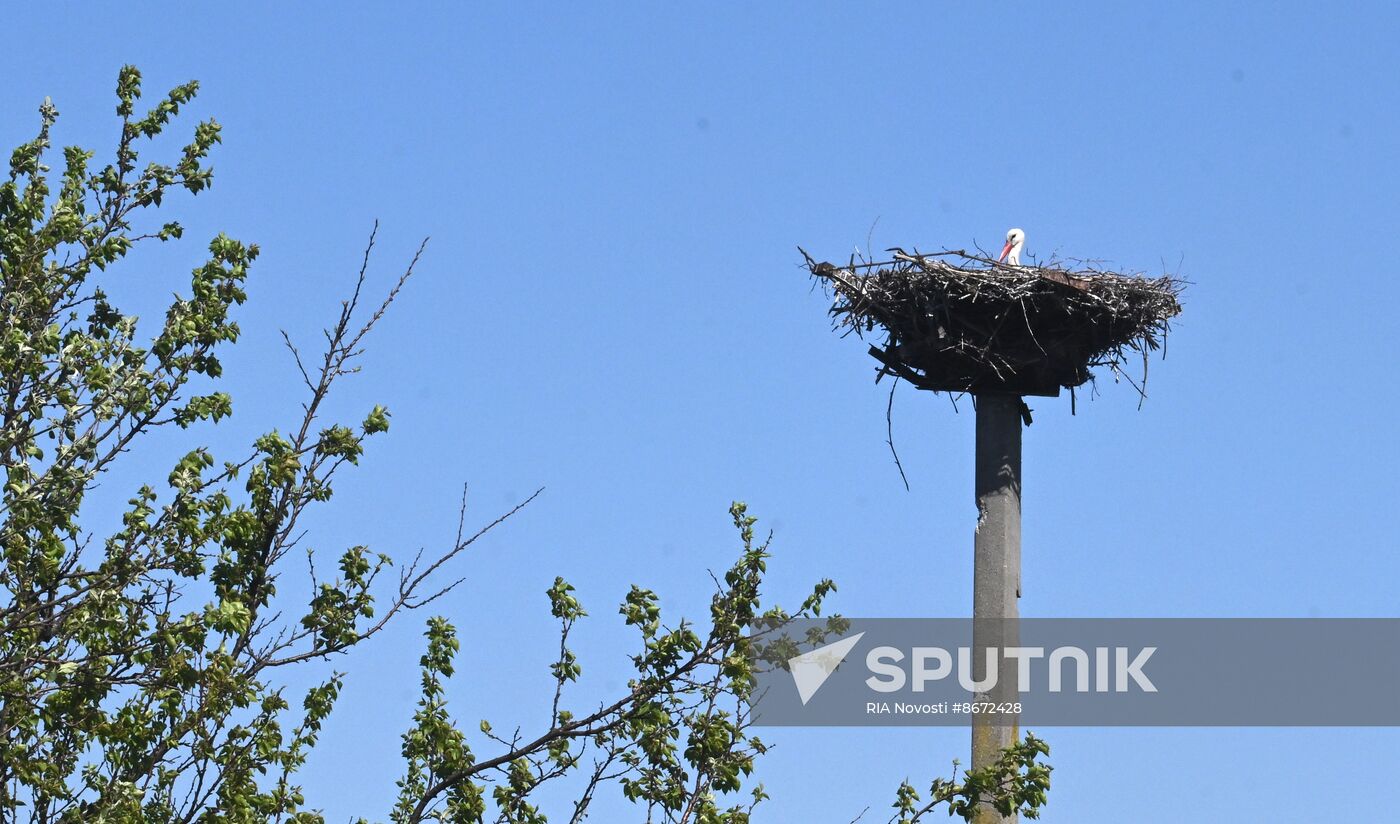 Russia Ukraine Military Operation Frontline