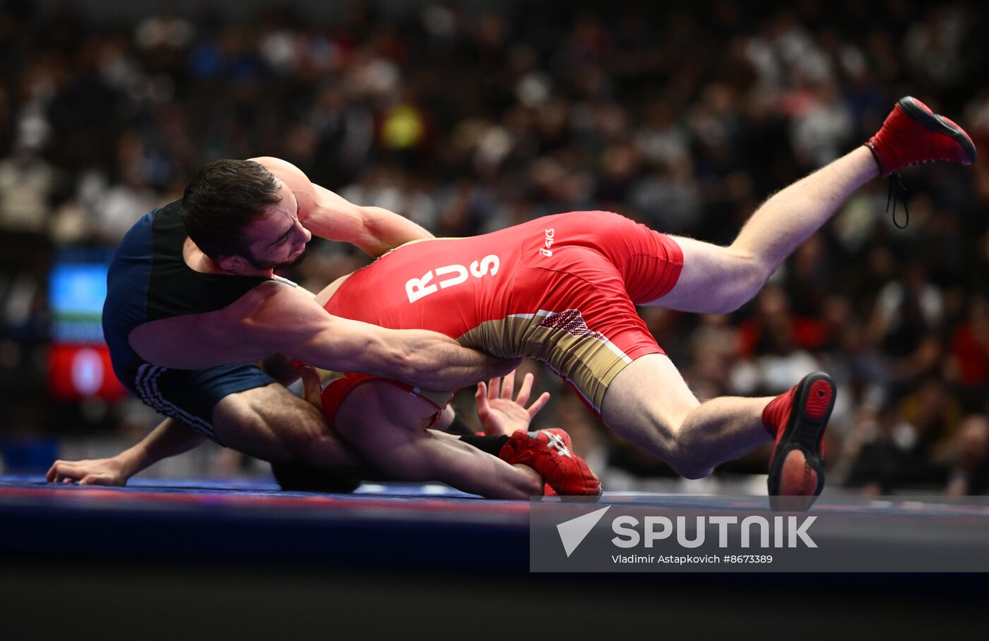 Russia Freestyle Wrestling Championships