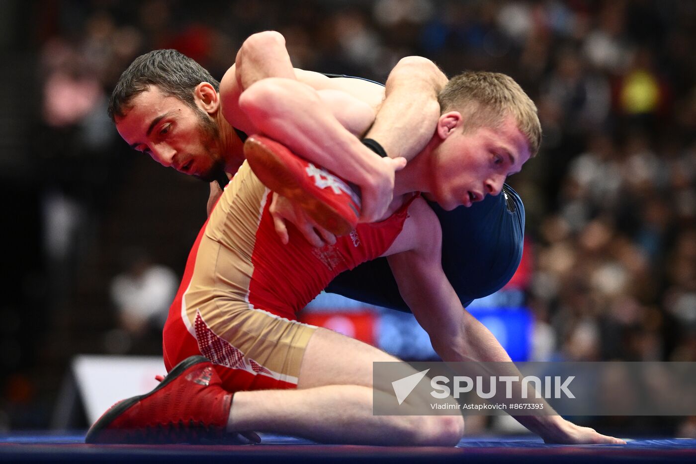 Russia Freestyle Wrestling Championships