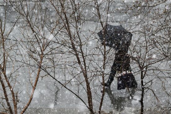 Russia Weather