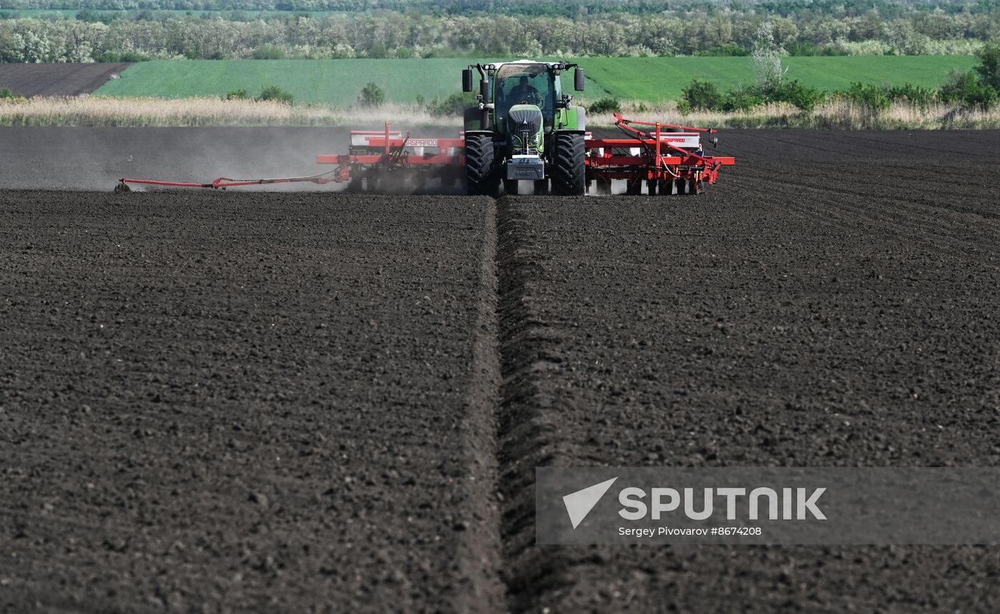 Russia Agriculture Sowing