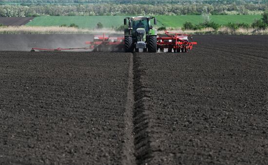 Russia Agriculture Sowing