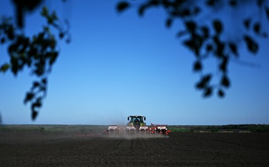 Russia Agriculture Sowing