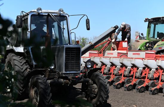 Russia Agriculture Sowing