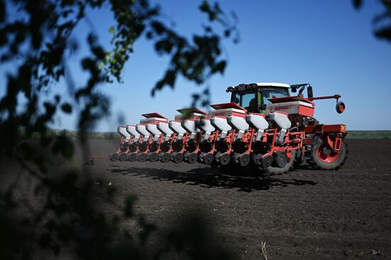 Russia Agriculture Sowing