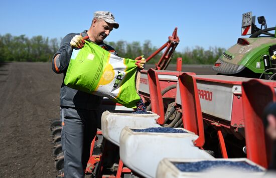 Russia Agriculture Sowing