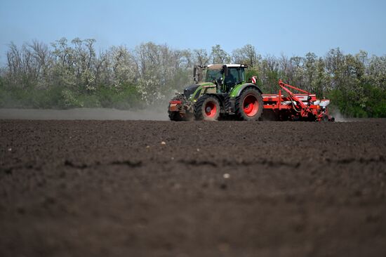 Russia Agriculture Sowing