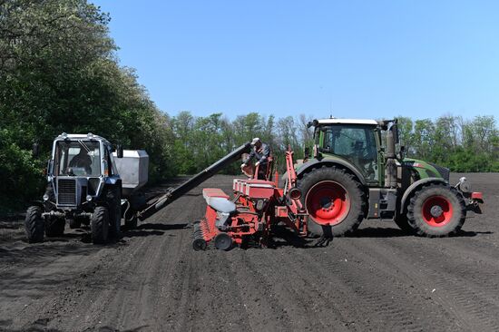 Russia Agriculture Sowing