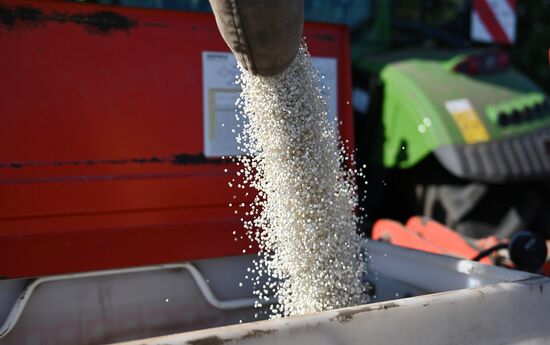 Russia Agriculture Sowing