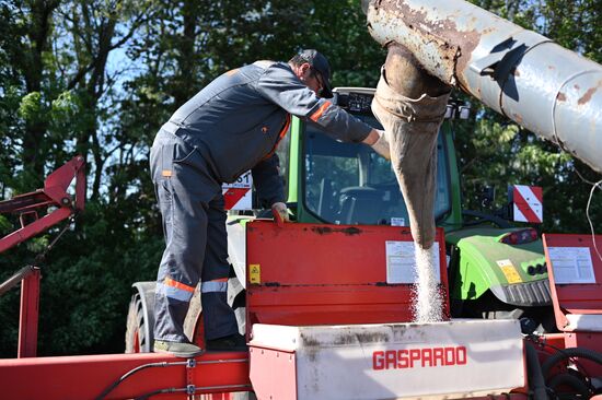 Russia Agriculture Sowing