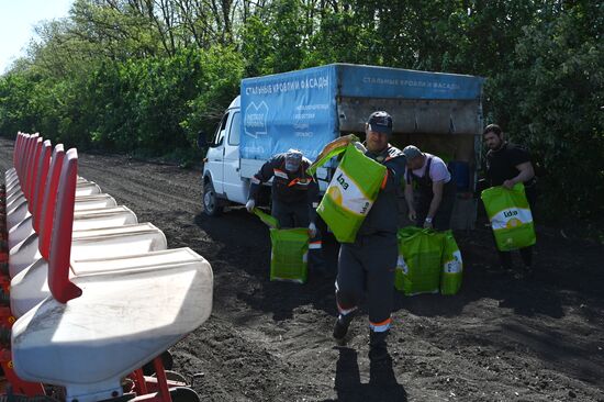 Russia Agriculture Sowing