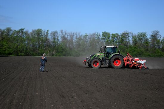 Russia Agriculture Sowing