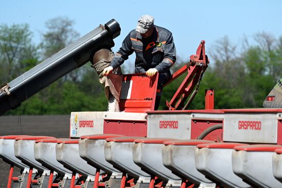 Russia Agriculture Sowing