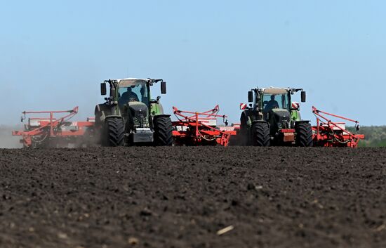Russia Agriculture Sowing